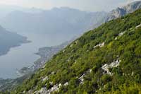 Zatoka Kotorska