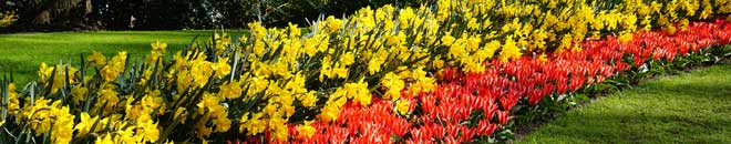 Baner2 - Wycieczka do Holandii z cyklu Parki i ogrody Europy, Park Keukenhof