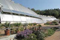Praga - ogród botaniczny, szklarnia Fata Morgana
