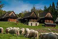 Skansen w Rožnově pod Radhoštěm