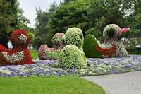 Wyspa Kwiatów - Mainau