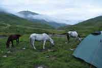 Rajd konny w Chewsuretii 2014