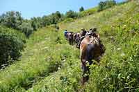 Rajd konny w Chewsuretii 2014