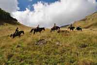 Rajd konny w Chewsuretii 2014