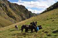 Rajd konny w Chewsuretii 2014