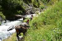 Rajd konny w Chewsuretii 2014