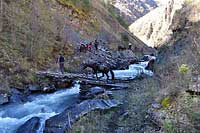 Przejście mostem to nie problem dla dzielnego konia