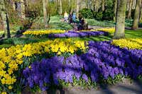 Wycieczka Holandia - Keukenhof
