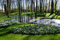 Wycieczka Holandia - Keukenhof
