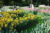 Wycieczka Holandia - Keukenhof