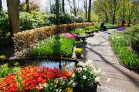 Wycieczka Holandia - Keukenhof