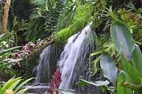 Wycieczka Holandia - Orchidarium w Luttelgeest