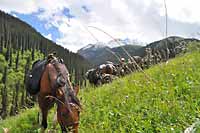 Rajd konny Kazachstan Tien Shan