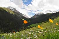 Rajd konny Kazachstan Tien Shan