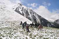 Rajd konny Kazachstan Tien Shan