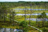 Park Narodowy Lahemaa