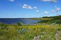 Saaremaa, P.N.Vilsandi