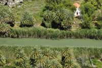 Ujście rzeki Megalopotamos