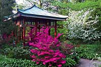 Berlin - Ogród Botaniczny