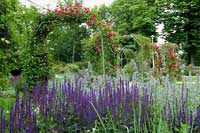 Ogród Różany w Forst