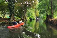 Spreewald