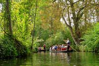 Spreewald