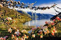 Hardanger