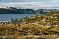 Hardangervidda