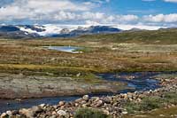 Hardangervidda