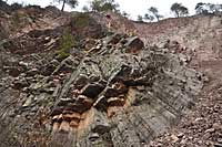 Organy Wielisławickie