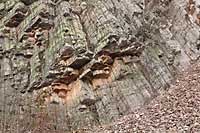 Organy Wielisławickie