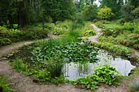 Arboretum w Rogowie