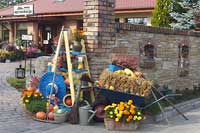 Ogrody w Goczałkowicach Zdroju