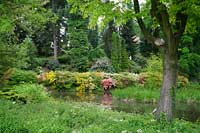 Arboretum Wojsławice