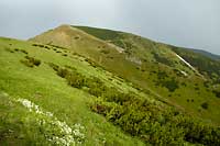 Niskie Tatry