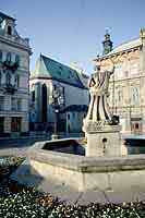 Lwów - rynek i katedra