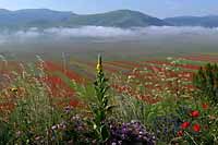 Castelluccio