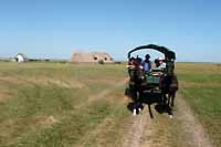 Puszta
