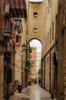 Bari