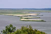 Swina river delta