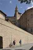 Urbino