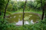 Krater meteorytowy k. Kaali
