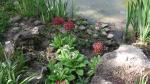 Zagrzeb_ogród botaniczny