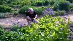 Zagrzeb_ogród botaniczny