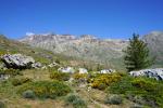 Masyw Monte Cinto (2706m).