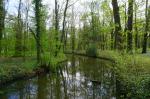 Zapuszczony park pałacowy w Miliczu