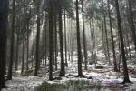 Mgła powoli ustępuje.