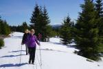 Na szlaku, w oddali na horyzoncie - Karkonosze.