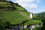Bacharach - mury obronne i winnice.
