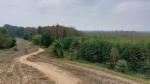 Widok z wieży